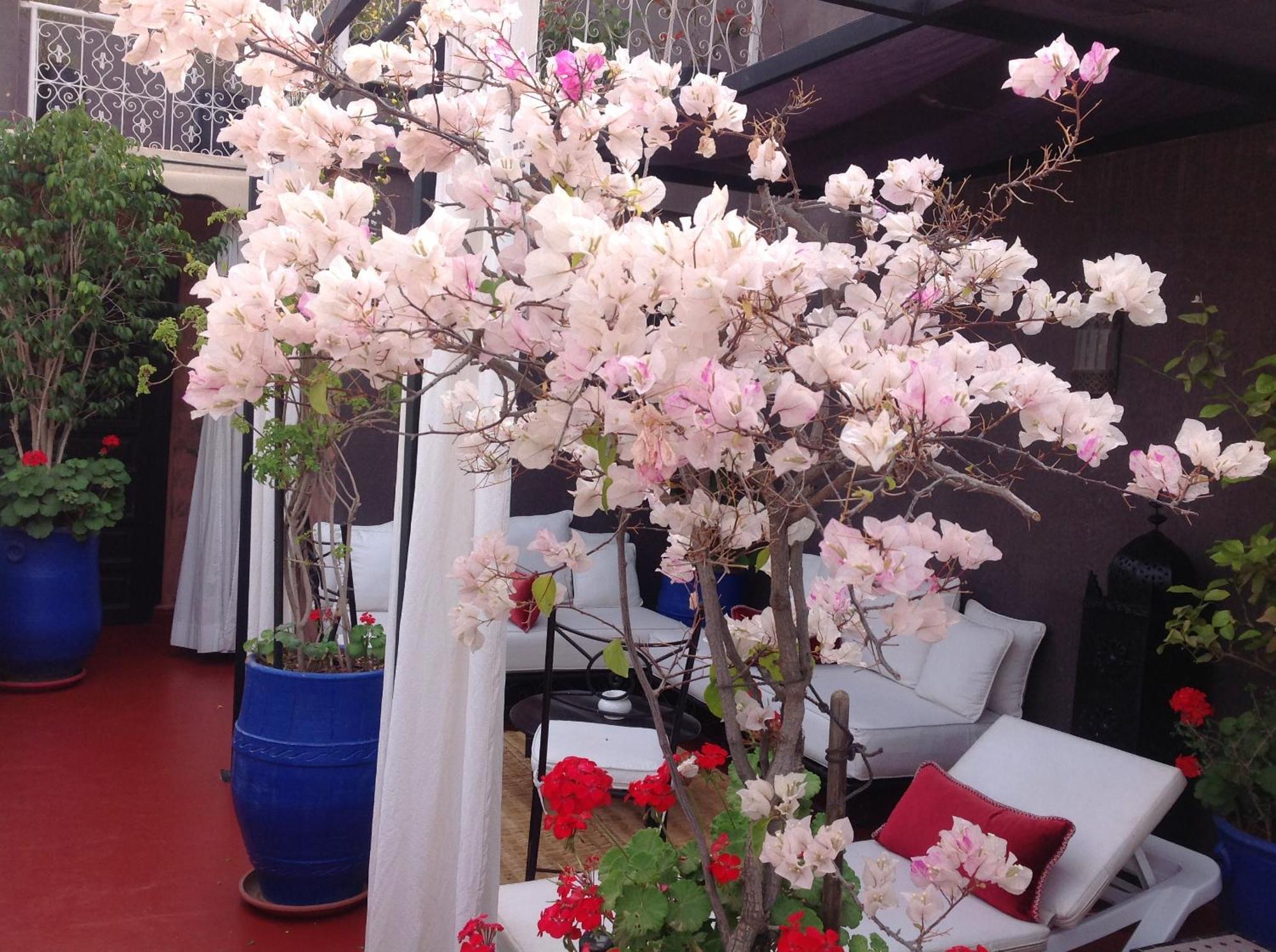 Riad Syba Marrakesh Ngoại thất bức ảnh